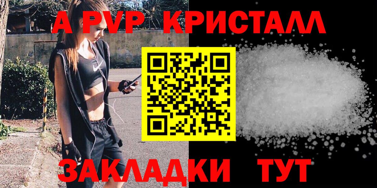 Курчалой  Alfa_PVP СК  А ПВП СК КРИС  A-PVP  Вход с VPN 