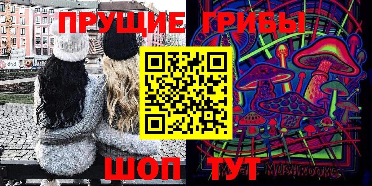 Псилоцибиновые грибы прущие грибы Курчалой