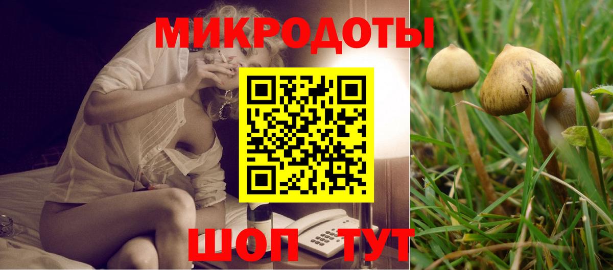 Бошки Шишки Курчалой
